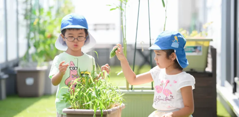 子どもたちが野菜の収穫や下ごしらえをする様子