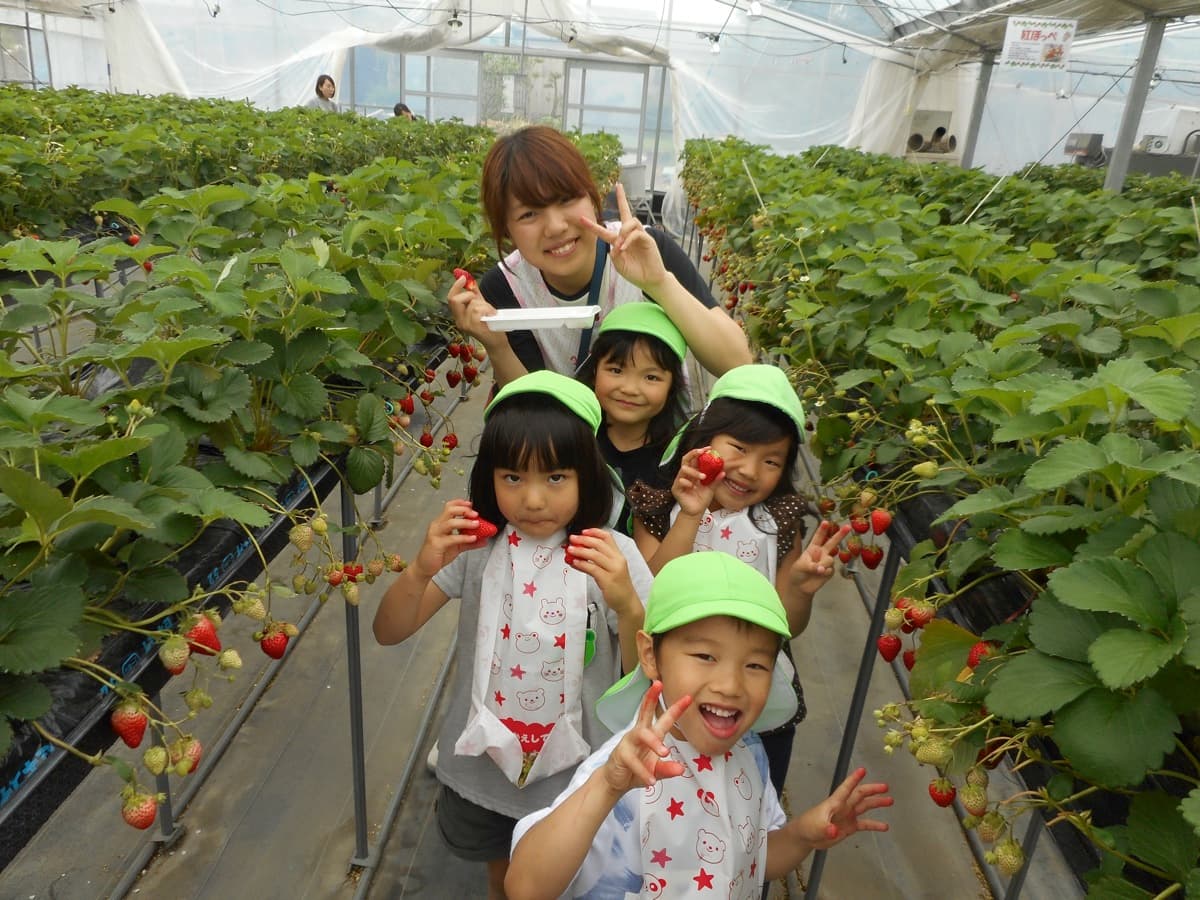 いちご🍓狩り 甘酸っぱくておいしいね❣