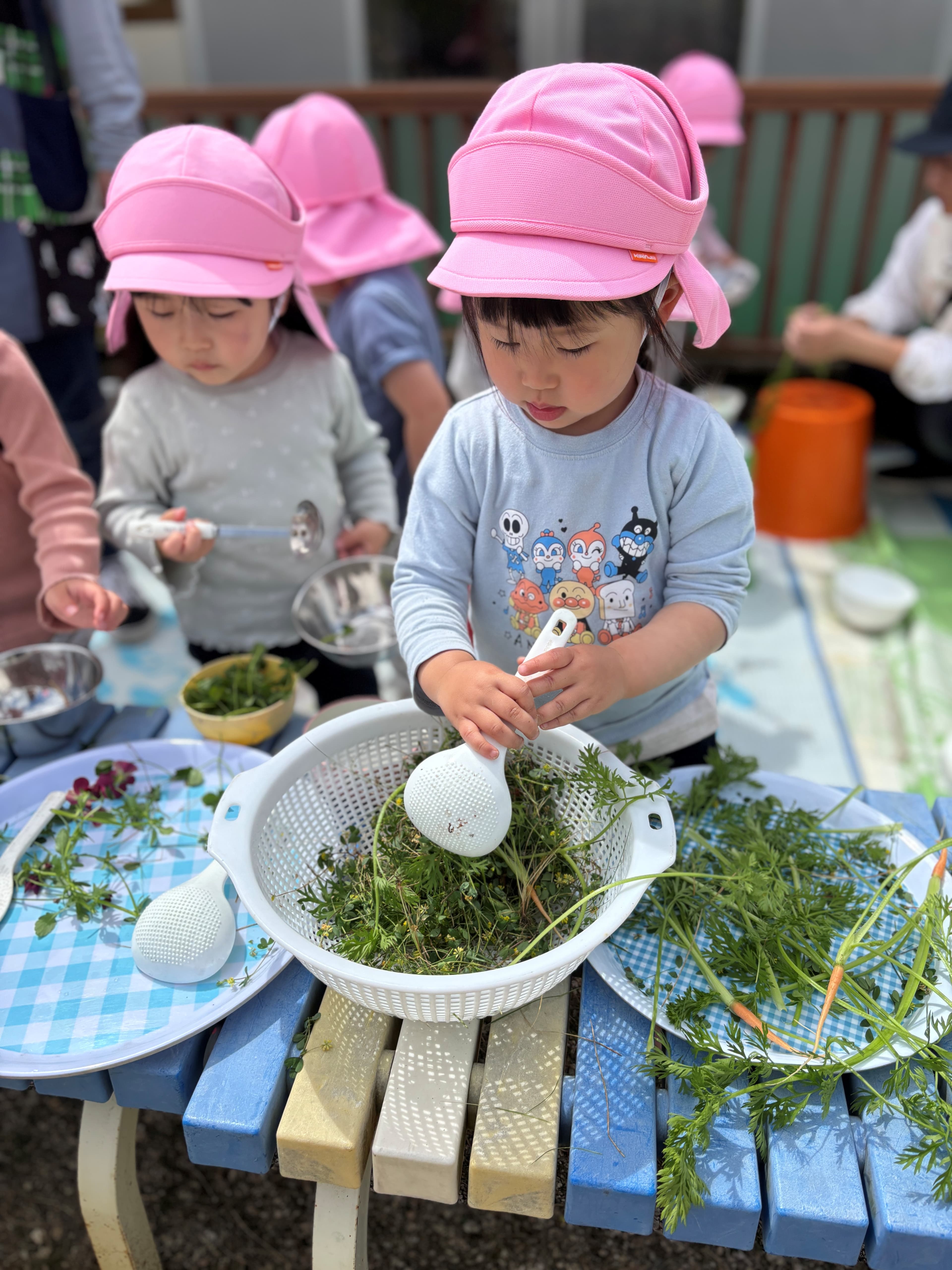 野菜畑・クローバー畑・バッタがいる草原があります(^^♪