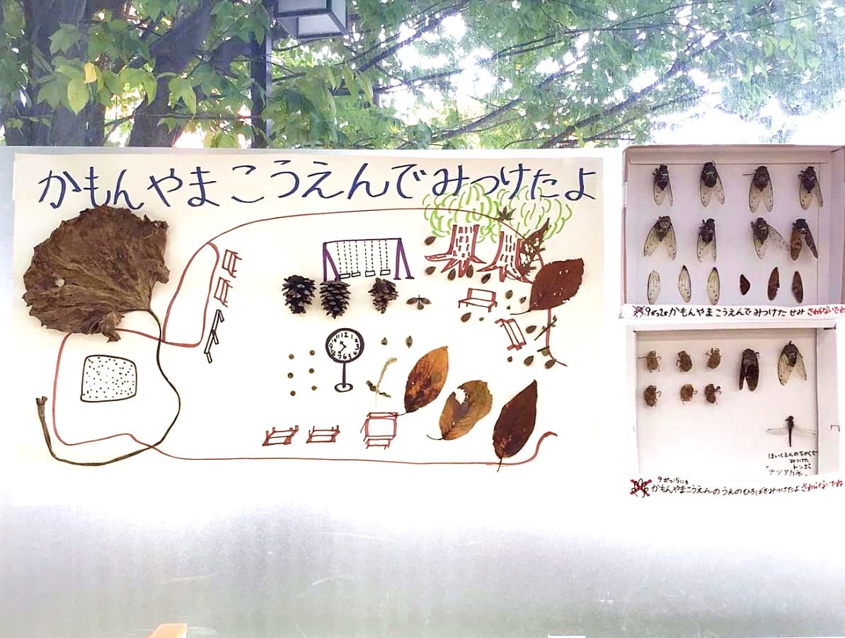 公園で見つけたもの