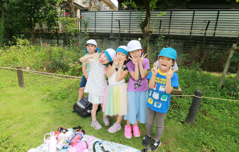 夏の散歩